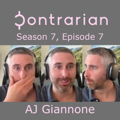 episode Opportunities in High Yield, Private Credit and More: AJ Giannone, Allio Capital artwork