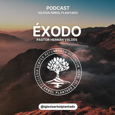 episode 95 - La Gloria del Señor ( Éxodo 40 ) artwork