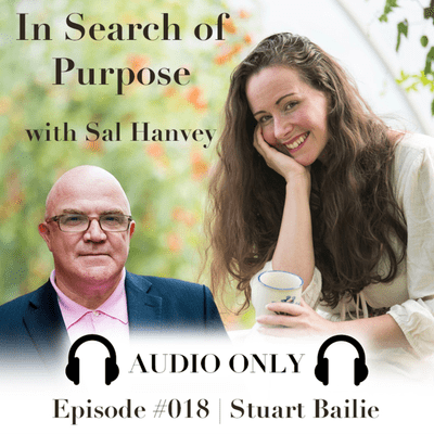 episode #018 | Stuart Bailie | *Audio Only artwork