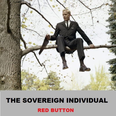 episode episode 156 – DO SOMETHING OR OTHER #02 - The Sovereign Individual artwork