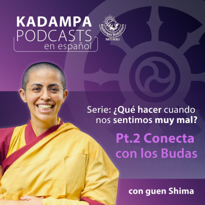 episode ¿Qué hacer cuando nos sentimos muy mal? PT. 2, Conecta con los Budas artwork
