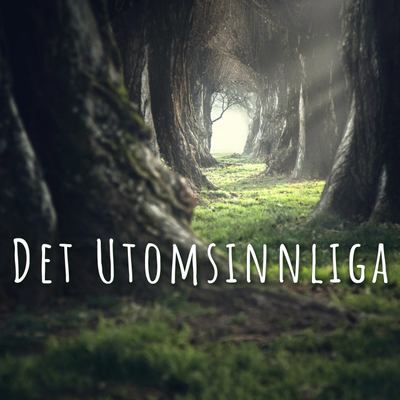 episode Avsnitt 20 - Drömmar & drömtolkning artwork