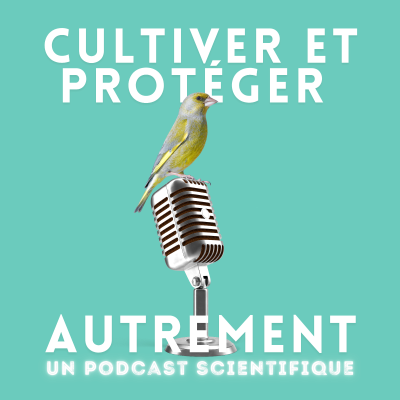 episode #7 Bonus : accompagner la diversification et l'adoption des mélanges cultivés, avec MOBIDIV artwork