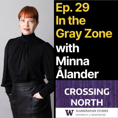 episode CN29 In the Gray Zone artwork