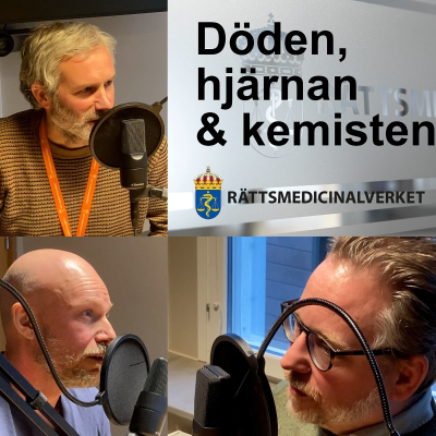 episode Riskbedömning av livstidsdömda artwork