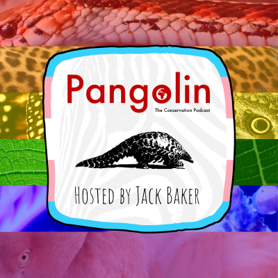 episode 110. Intersectional Environmentalism & the Power of Community! (with Isaias Hernandez, QueerBrownVegan) [Pangolin Pride] artwork