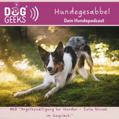 episode #68 DogGeeks-Hundegesabbel „Angstbewältigung bei Hunden - Julia Nowak im Gespräch.” artwork