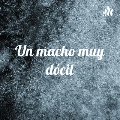 Un macho muy dócil: Obra de teatro