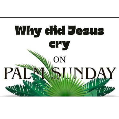 episode Why did Jesus cry on Palm Sunday? artwork