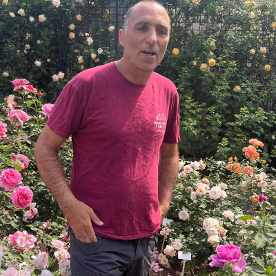 episode קרן צור מטפחים ורדים artwork