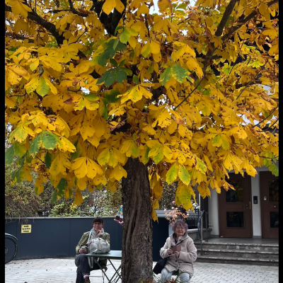 episode Liebenswerte alte Dame mit Hut artwork