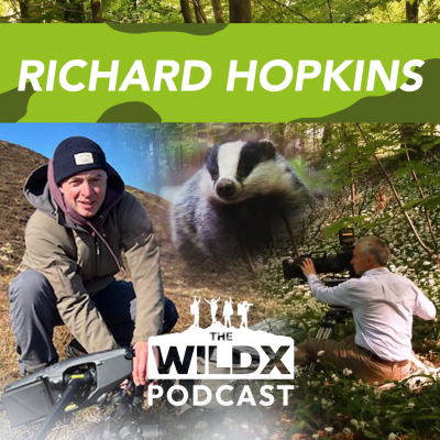 episode Episode 31 - RICHARD HOPKINS - Wildlife Cameraman & filmmaker artwork