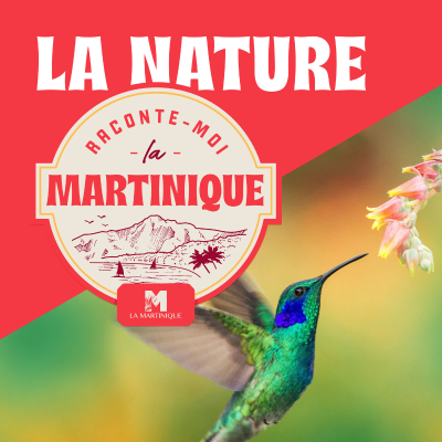 episode La nature en Martinique artwork