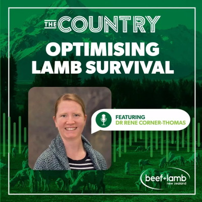 episode Optimising Lamb Survival Ep.3 with Dr Rene Corner-Thomas artwork