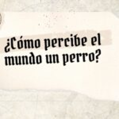 episode ¿Cómo percibe el mundo el perro? artwork