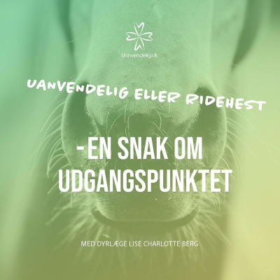 episode En snak om vores uanvendelige navn - Med dyrlæge Lise Charlotte Berg artwork