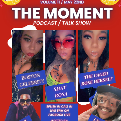 episode THE MOMENT EP 14 "ROSES ARE.." artwork