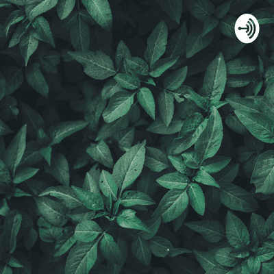 Svt podcast