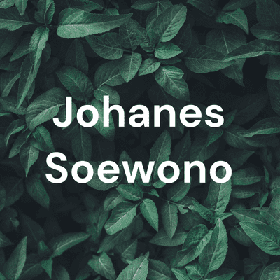 Johanes Soewono