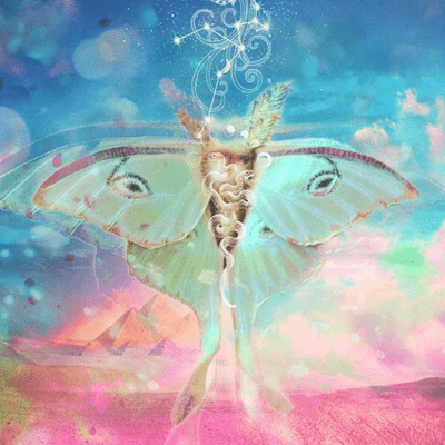 episode Global shift and corona virus artwork