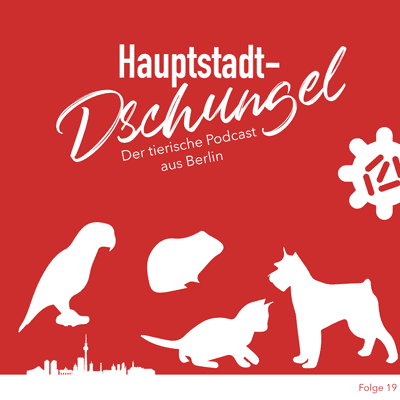 episode Haustiere und Corona artwork