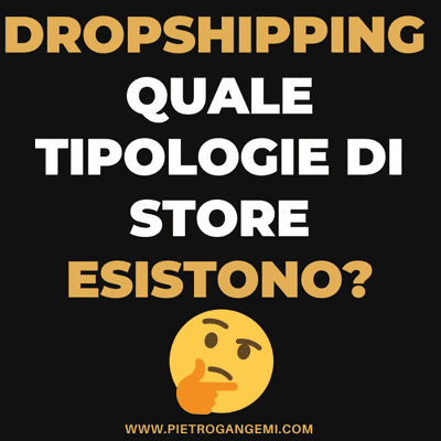 episode Dropshipping Italia - Quale Tipologie Di Store Esistono e quali sono le più profittevoli artwork