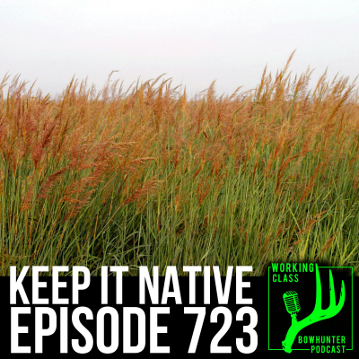 episode 723 Keep It Native artwork