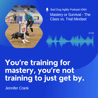 episode 364: Mastery or Survival - The Class vs. Trial Mindset artwork