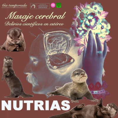episode NUTRIAS artwork