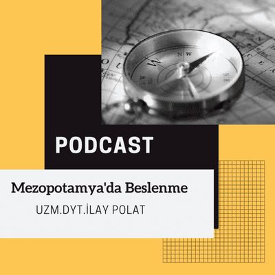episode Tarih Boyunca Beslenme -Mezopotamya da Beslenme artwork