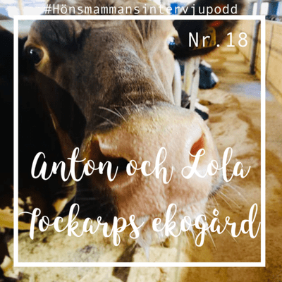 episode Lola & Anton - Tockarps ekogård artwork