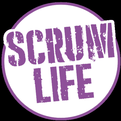 episode CHEF DE PROJET 👉 SCRUM MASTER artwork