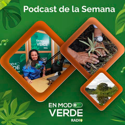 episode Historia del Libro “Ramita, un árbol de verdad” - En Modo Verde Radio artwork