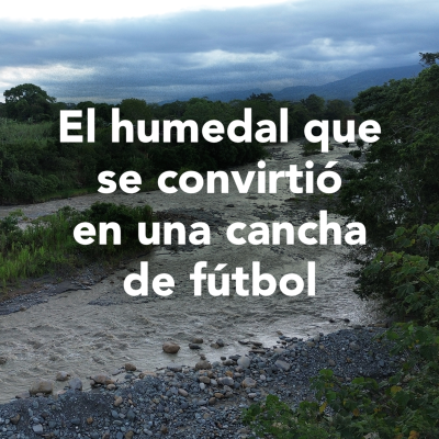 episode El humedal que se convirtió en una cancha de fútbol artwork