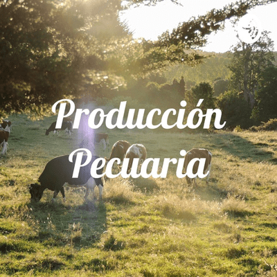 Producción Pecuaria