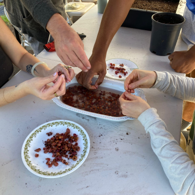 episode 60. Hui Up and Care for the Land artwork