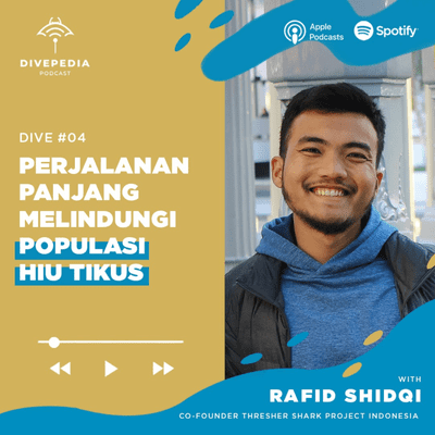 episode Dive #04 | Perjalanan Panjang Melindungi Populasi Hiu Tikus artwork