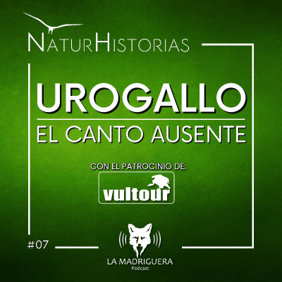 episode #07 - Urogallo; El canto ausente - Naturhistorias (02/2025) artwork