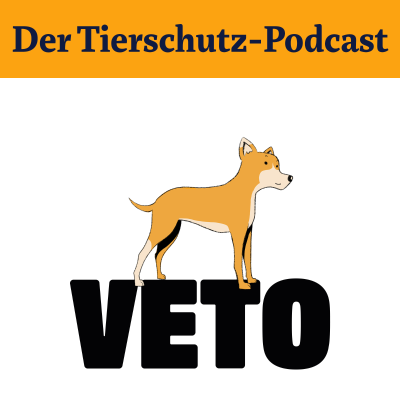 episode Mittelmeerkrankheiten beim Hund artwork