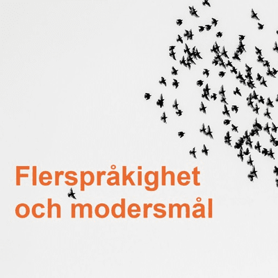 episode 1 av 3. Språk- och kunskapsutvecklande arbetssätt: Flerspråkighet och modersmål artwork