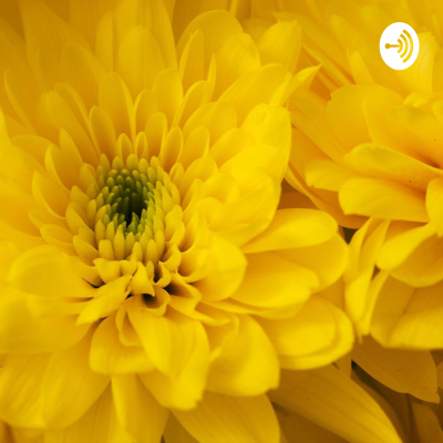 CALMING ASMR