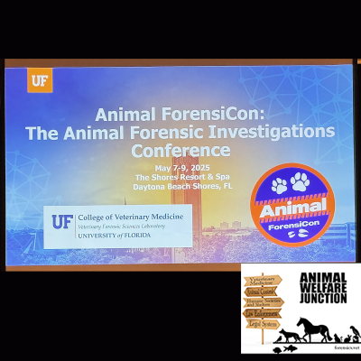 episode Animal ForensiCon 2025: Diagnostic Imaging of Thoracic Trauma with Federico Grosso, DVM artwork