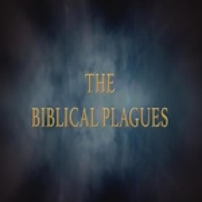 episode Las Plagas Bíblicas artwork