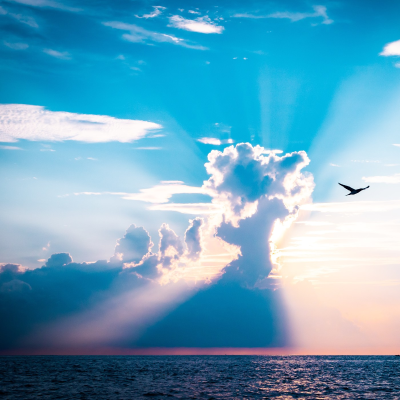 episode #157 Mindfulness Esencial artwork
