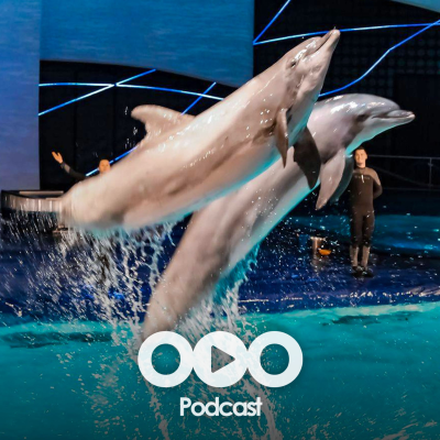 episode Hoe wordt het Dolfinarium in Harderwijk weer toekomstbestendig? artwork