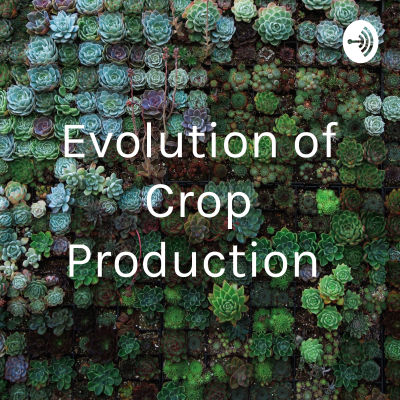 Evolution of Crop Production