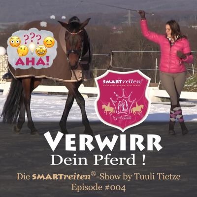 episode Verwirr Dein Pferd! – So schulst Du präzise Antworten auf präzise Signale artwork