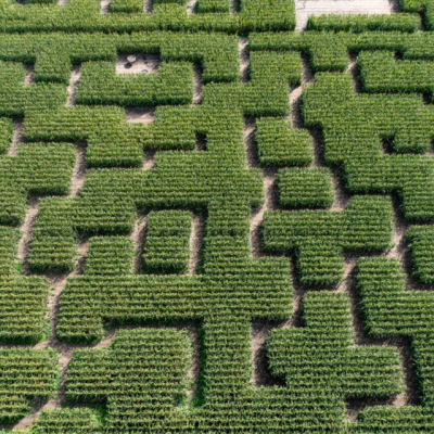 episode Trouverez-vous la sortie de ce labyrinthe ? artwork