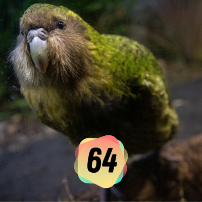 episode EP 64: Kakapos mit High-Tech-Rucksäcken, Zoos und plastikzersetzende Enzyme artwork