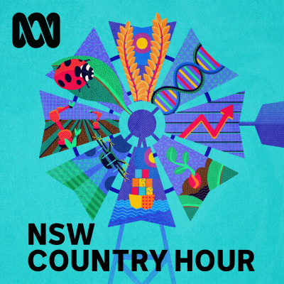 New South Wales Country Hour